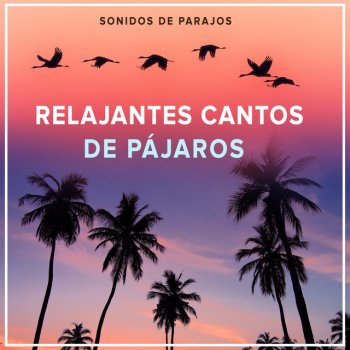 Sonidos De Parajos Parkland Harmonic