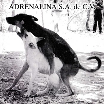 Adrenalina La Bacha