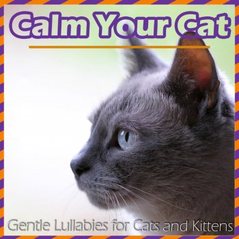 RelaxMyCat Cosmic Calm