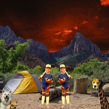 Navet Confit Triangles