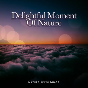 Nature Recordings Photosynthesis Iceberg