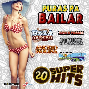 Vários Artistas Cumbia Corralera