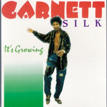 Garnett Silk Come to Me