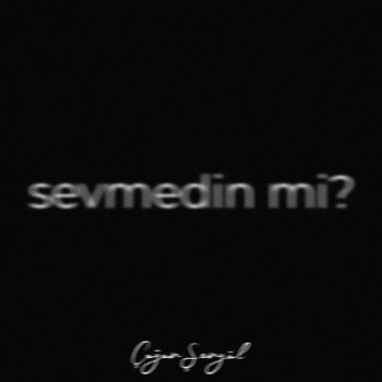 Çağan Şengül sevmedin mi?