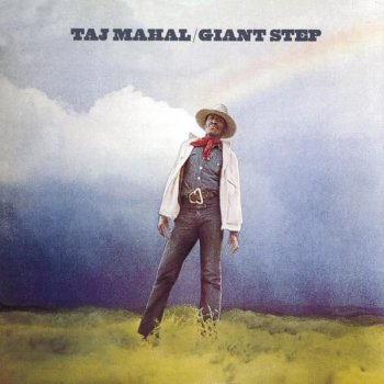 Taj Mahal Light Rain Blues