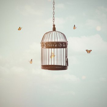 Исполнитель Boztown, альбом The Interlude of the Sun