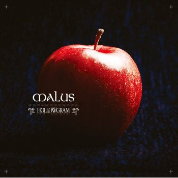 Hollow-Gram Sentimental Issues