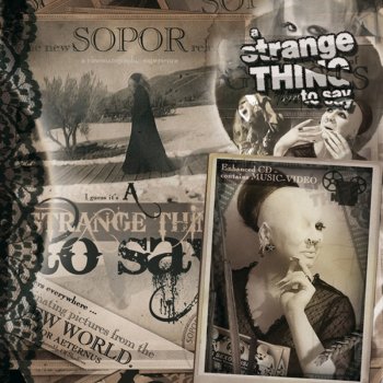 Sopor Aeternus & The Ensemble Of Shadows A Strange Thing To Say