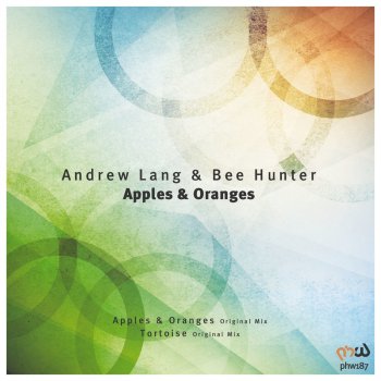 Исполнитель Bee Hunter feat. Andrew Lang, альбом Apples and Oranges