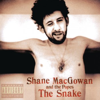 Shane MacGowan The Snake With Eyes of Garnet