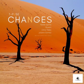T-Puse feat. Juliano Gomez Changes - Juliano Gomez Remix