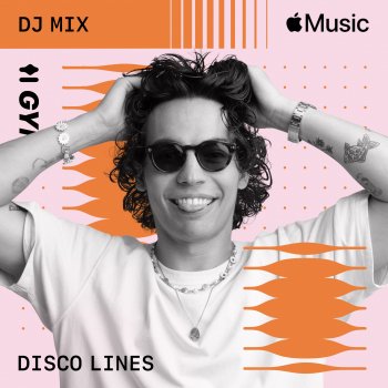 Disco Lines Home (Vintage Culture Remix) [Mixed]