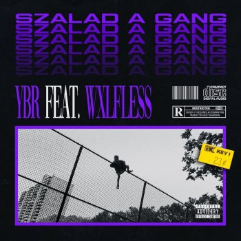 YoungBoy Rallo feat. Wxlfless Szalad a Gang