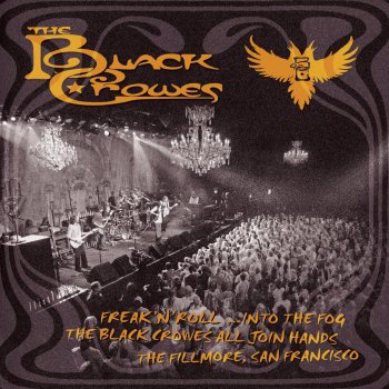 The Black Crowes My Morning Song - Live