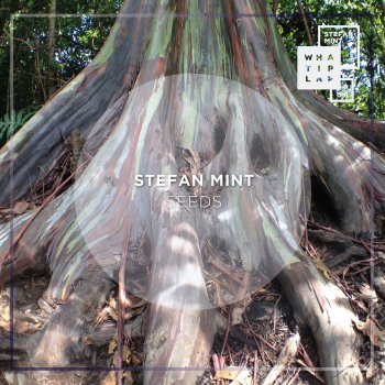 Исполнитель Stefan Mint, альбом Seeds