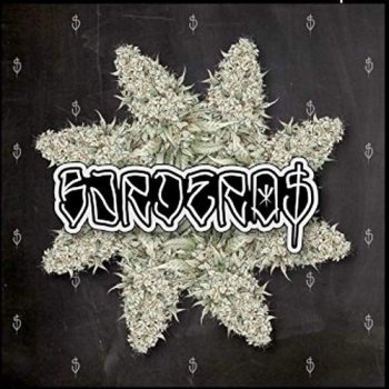 Bardero$ Unidad 9