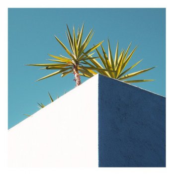 DLJ Blue Shades