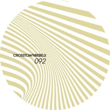 Fur Coat feat. Cari Golden You and I (Amirali remix)