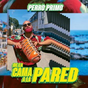 Perro Primo De la Cama a la Pared