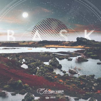 Edamame Follow Meridian