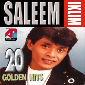 Saleem Mahligai Seribu Mimpi