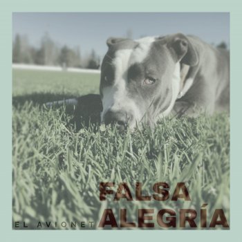 El Avionet Falsa Alegría
