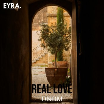 Исполнитель DNDM, альбом Real Love