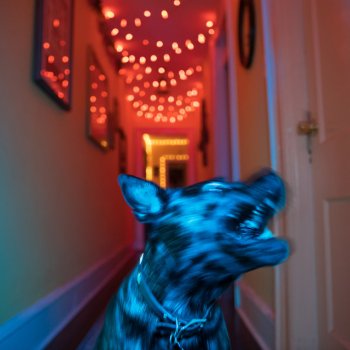 Исполнитель The World Is A Beautiful Place & I Am No Longer Afraid To Die, альбом In Circles - Single