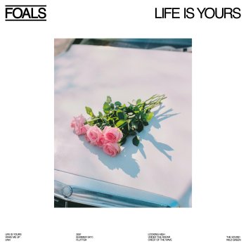 Foals Flutter