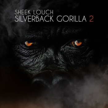 Sheek Louch Hood In You