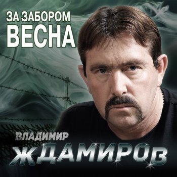 Владимир Ждамиров Скажи зачем