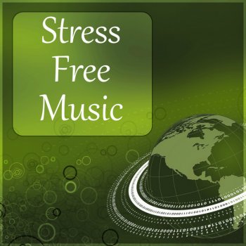 Stress Relief Calm Oasis Mindfulness Meditation