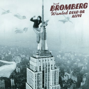 David Bromberg Someone Else's Blues