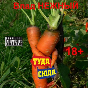 Влад Нежный Туда-сюда