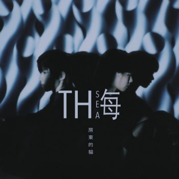 房東的貓 海