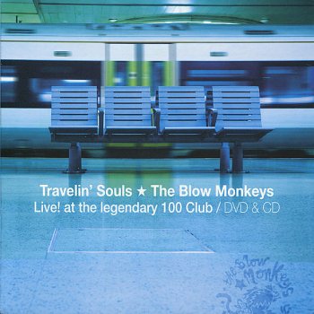 The Blow Monkeys Digging Your Stone