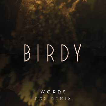 Birdy Words (EDX Remix)