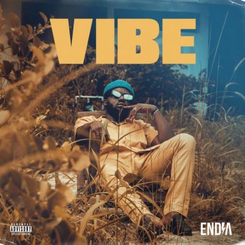 Endia Vibe