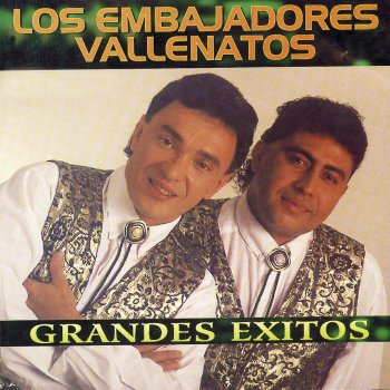 Los Embajadores Vallenatos Tomando y Tomando (with Robinson Damián)