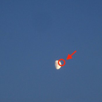 Исполнитель cleopatrick, альбом PLEASE