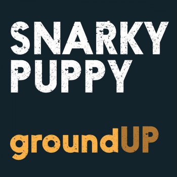 Snarky Puppy Young Stuff