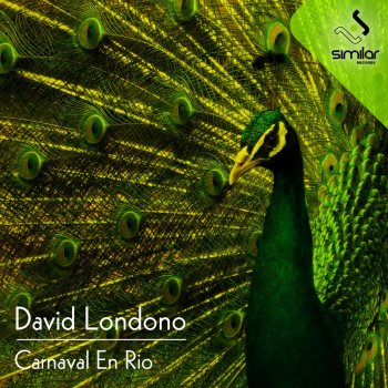 David Londono Carnaval En Rio