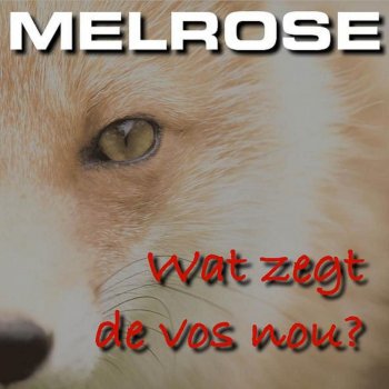 Melrose Wat Zegt De Vos Nou?