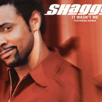 Shaggy It Wasn't Me (Radio Edit)