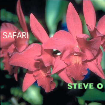 Исполнитель Steve O, альбом Safari