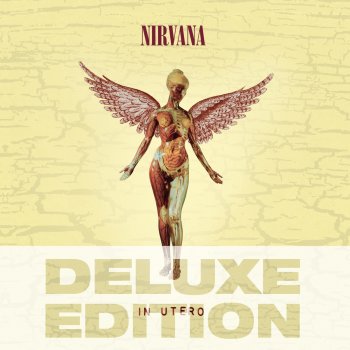 Nirvana Dumb (Instrumental Demo)