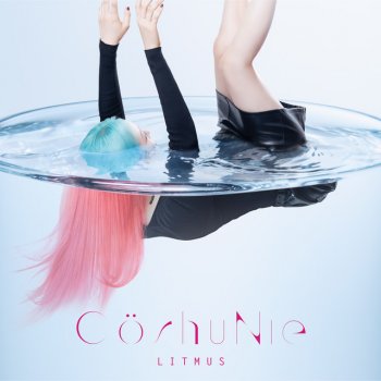 Cö shu Nie 水槽のフール