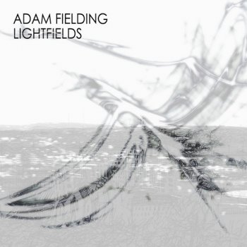 Adam Fielding The Same Mistakes