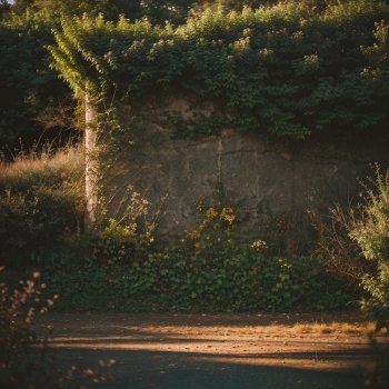 Renaissance Music 白毫子歌