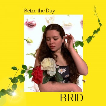 BRID Seize the Day